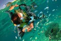 魚群がすぐそばを通過して行きます。透明感溢れる海で、じっくりと眺めましょう。