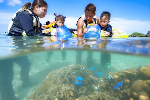 ＼2歳から75歳まで参加OK！／海ピクニック&シュノーケル｜エサあげ体験付｜写真プレゼント｜直前予約OK｜ファミリーおすすめプラン