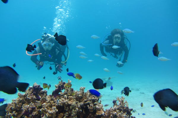 沖縄・瀬底島・ライセンス取得】沖縄の海でステップアップ！アドバンス