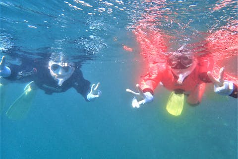 【山口県長門市・シュノーケリング】山陰の美しい景勝地！青海島の水中を覗いてみよう