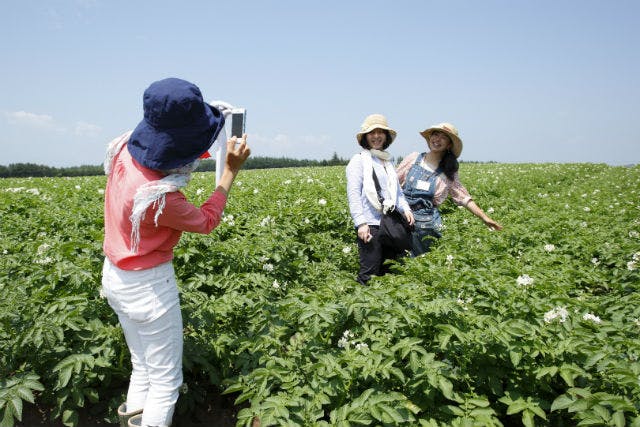 【北海道・芽室町・農業体験】食事付き！北海道名産、じゃがいもを知る