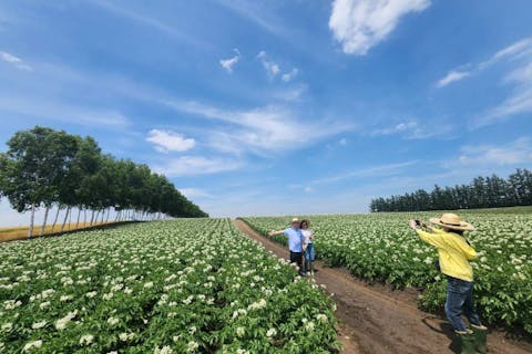 畑ガイドと行く農場ピクニック・ランチツアー6月~7月中旬・8月上旬～9月【北海道・芽室町・農業体験】