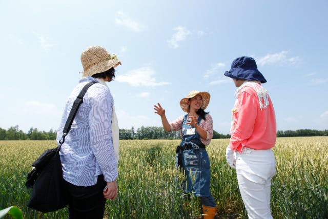 【北海道・芽室町・農業体験】畑ガイドと行く農場ピクニック・ランチツアー