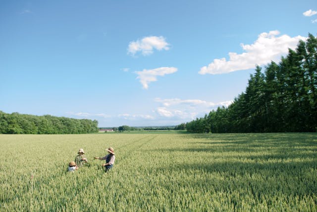 【北海道・芽室町・農業体験】畑ガイドと行く農場ピクニック・おやつツアー
