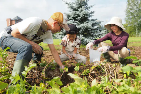 北海道 農業体験 田植え体験 ツアー 一覧 比較 予約 アソビュー
