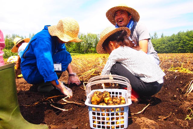 【北海道・帯広市・農業体験】じゃがいも収穫ツアー