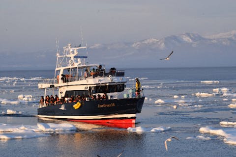 【知床・ガイドツアー】知床の魅力をお手軽に満喫！流氷＆バードウォッチングA