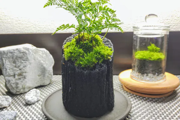 新宿・和みの空間☆炭飾り】和の趣きを魅せる｢苔の炭鉢｣ づくり! 当店