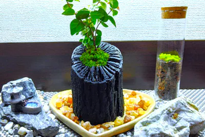 炭鉢 新宿・和みの空間☆炭飾り】和の趣きを魅せる｢苔の炭鉢｣ づくり! 当店