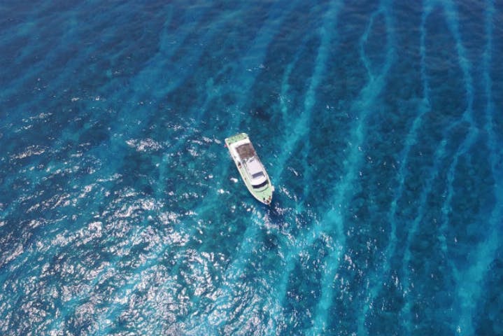 Aube Dive Trip オーブダイブトリップ ネット予約ならアソビュー