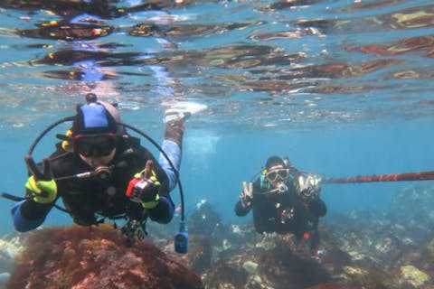 【伊豆・ライセンス取得】Cカードを取得！オープンウォーター講習