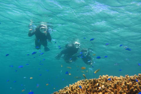 【沖縄・瀬底島・シュノーケリング】秘密のビーチでシュノーケルツアー（レンタル器材込）
