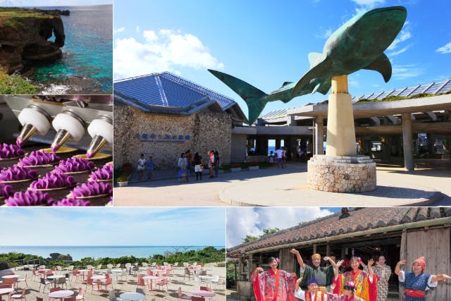 【沖縄・那覇発】ワンドリンク付！日帰りバスツアー！美ら海水族館→御菓子御殿→万座毛→琉球村→バンタカフェ by 星野リゾート（Aコース）