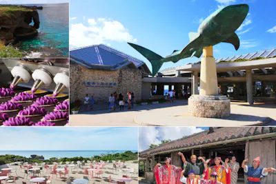 沖縄・那覇発】ワンドリンク付！日帰りバスツアー！美ら海水族館→御
