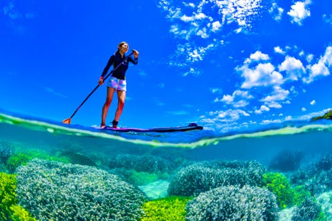 【沖縄・恩納村】SUP＆シュノーケリング「無人島を目指す冒険へ！」初心者でも安心。ほぼ手ぶらでOK。透明な海と熱帯魚に癒されよう（昨年1500名以上案内／高画質写真・動画データ無料／餌付け体験付き）