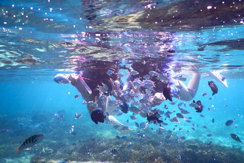 【沖縄・今帰仁・SUP】美ら海水族館・古宇利島近くで海遊び！SUP&シュノーケリングツアー