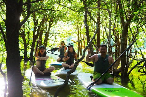 【沖縄北部・SUP】神秘的なマングローブの森を探検！SUPクルージング