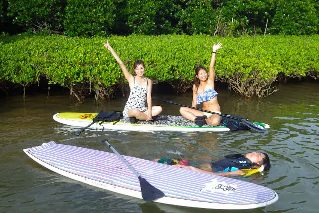沖縄北部・SUP】神秘的なマングローブの森を探検！SUPクルージング