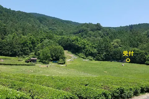 【埼玉・パラグライダー】自分で空を飛ぶ感動！本格フライト体験1日プラン（お車でご来校）