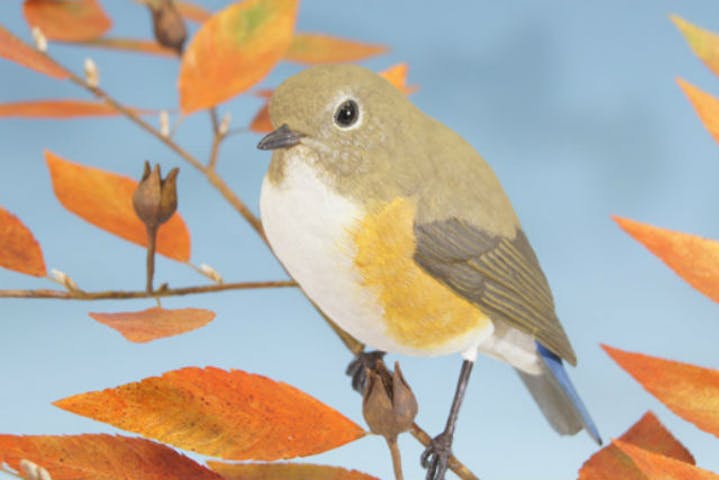 鳥の工房つばさ 伊豆高原店 ネット予約ならアソビュー