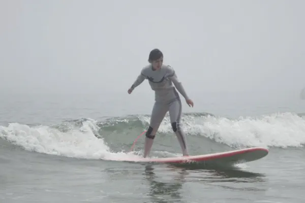 ☆神奈川県厚木市 直接引取希望☆casa9 ロングボード （【九十九里  