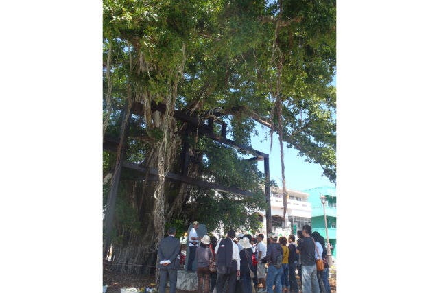沖縄 名護市 ガイドツアー 名護のパワースポットめぐり ひんぷんガジュマル コース アソビュー