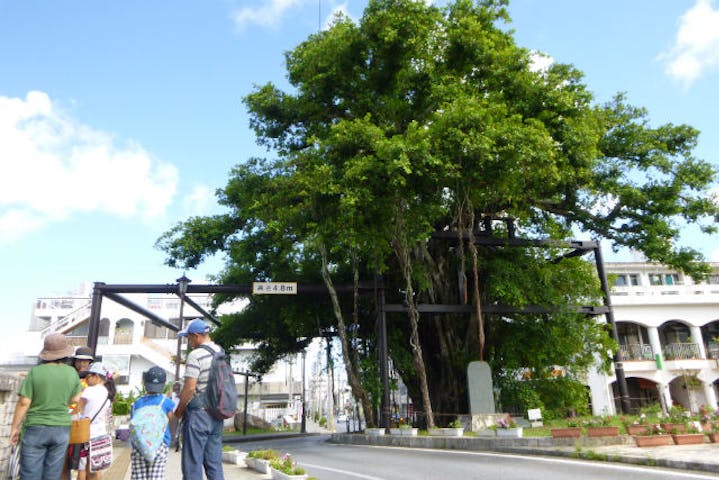 沖縄 名護市 ガイドツアー 懐かしの町並みをのんびり散歩 名護まちなか コース アソビュー