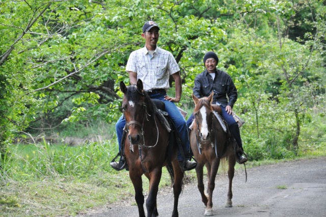 【京都・乗馬レッスン】自然のなかを、乗馬でお散歩しよう！外乗30分プラン