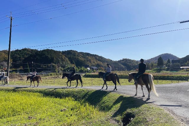 【京都・乗馬レッスン】自然のなかを、乗馬でお散歩しよう！外乗30分プラン