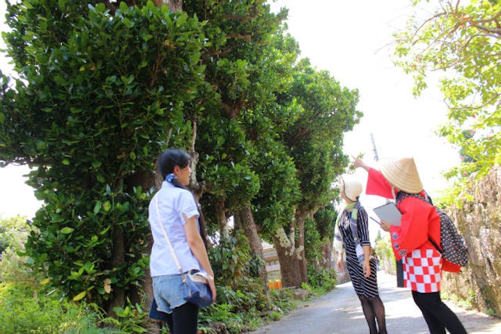 沖縄 うるま市 ガイドツアー 浜比嘉島をまわろう 集落散策 しまんちゅ交流ツアー アソビュー