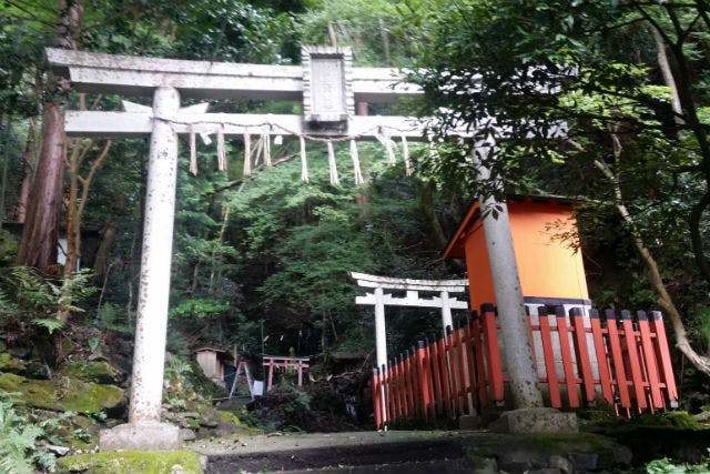 うらうらツアーは、京都の魅力を再発見できるガイドツアーを開催中！