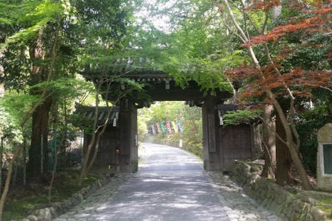【京都市・ガイドツアー】山の中に歴史あり！東山三十六峰ツアー