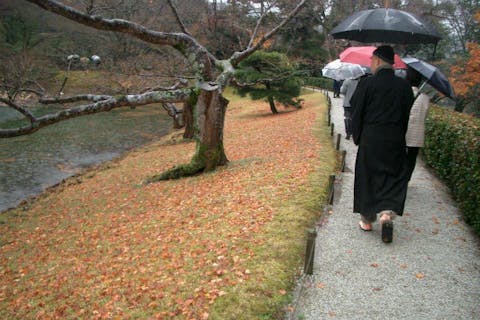 【京都市・ガイドツアー】京都の特別参観 借景の庭園 修学院離宮