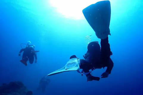 【石垣島・ダイビング】海人のガイドでとっておきのダイビング体験（2ダイブ）