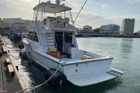 【石垣島・シュノーケリング】太古の海を今に残す美しい海で感動シュノーケリング体験