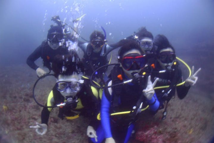 ダイビングサービス ブルースタイル横浜