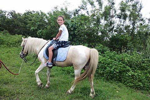 【沖縄・宮城島・乗馬体験】自由な乗馬散歩を楽しめる！操作練習＆外へのお散歩・40分