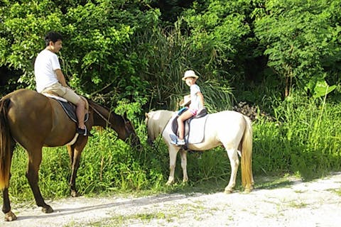 【沖縄・宮城島・乗馬体験】馬と一緒に森を歩こう！林トレッキング・60分