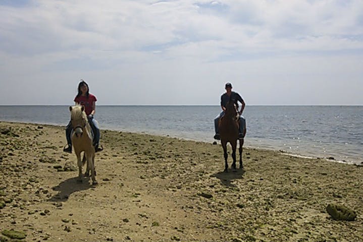 沖縄 宮城島 乗馬体験 たっぷり浜辺をお散歩しよう ビーチ乗馬 90分 アソビュー