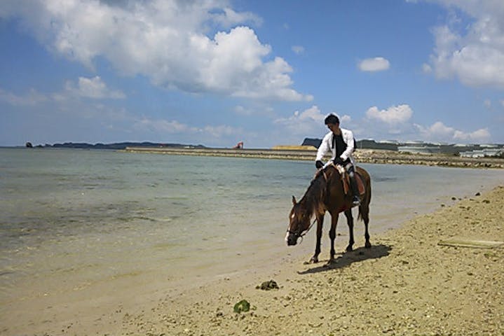 沖縄 宮城島 乗馬体験 たっぷり浜辺をお散歩しよう ビーチ乗馬 90分 アソビュー