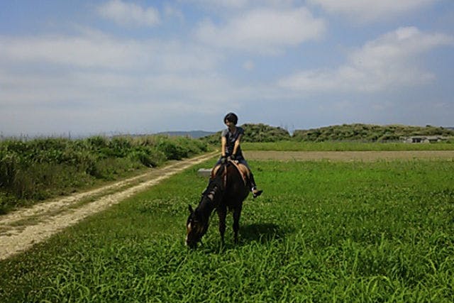 【沖縄・宮城島・乗馬体験】昔なつかしい道を乗馬散歩。林トレッキング＆農道コース・90分