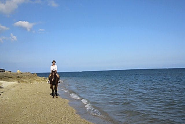 【沖縄・宮城島・乗馬体験】宮城島を馬とまわろう！山と海を満喫コース・120分