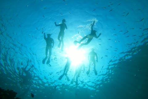 【沖縄・恩納村・青の洞窟・シュノーケリング】インスタ映えを応援！高画質な写真＆動画無料！一生に一度は見ておきたい青の洞窟ツアー（魚のえさ付き）