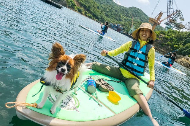 【淡路島・SUP】愛犬と一緒に水上さんぽSUP体験（写真撮影付）