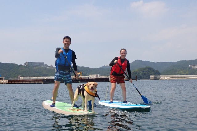 【淡路島・SUP】愛犬と一緒に水上さんぽ！！SUP体験90分（写真撮影＆データプレゼント）