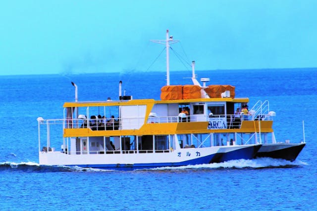 【沖縄・クルージング】水中観光船で贅沢クルージング！本当に海の中にいるみたい！