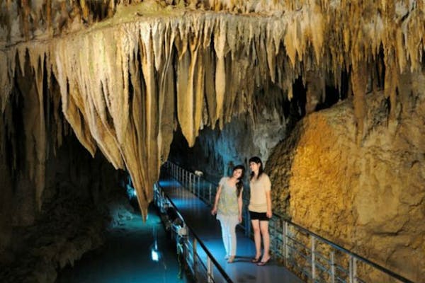 沖縄 日帰りバスツアー 世界文化遺産 斎場御嶽とおきなわワールドへ 南部半日観光ツアー ラドosb号おきなわワールドコース アソビュー