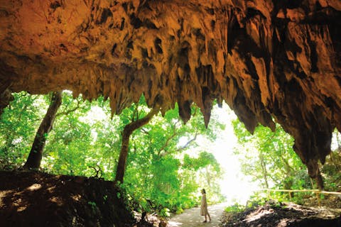 【那覇発/半日南部観光バスツアー日本人バスガイド同行！】ラドＯＳＢ号『斎場御嶽＆ガンガラーの谷ガイドツアーコース』