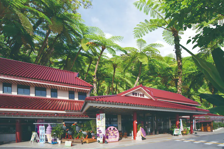 沖縄 日帰りバスツアー 沖縄美ら海水族館など 人気施設の入園料込み ラド美ら海号 アソビュー