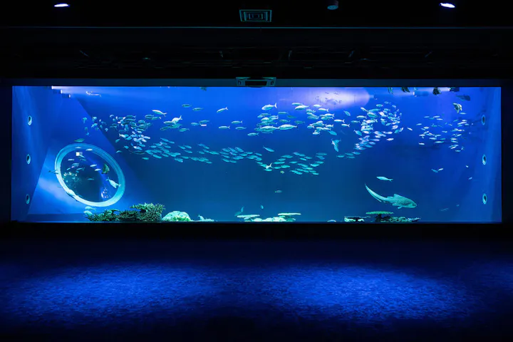 沖縄 日帰りバスツアー 到着後すぐ観光 Dmmかりゆし水族館へ行く ラドクイック号半日観光コース アソビュー